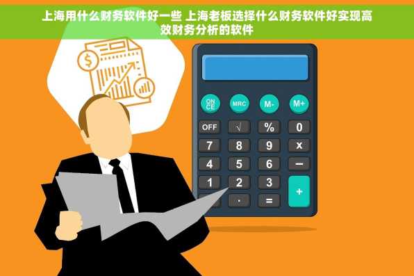 上海用什么财务软件好一些 上海老板选择什么财务软件好实现高效财务分析的软件