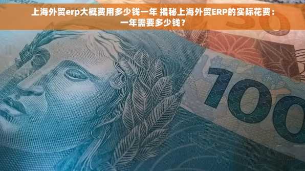 上海外贸erp大概费用多少钱一年 揭秘上海外贸ERP的实际花费：一年需要多少钱？