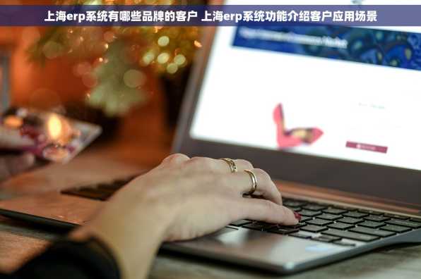 上海erp系统有哪些品牌的客户 上海erp系统功能介绍客户应用场景