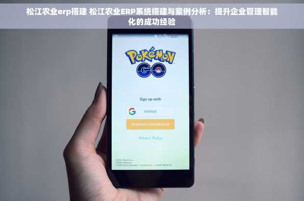 松江农业erp搭建 松江农业ERP系统搭建与案例分析：提升企业管理智能化的成功经验