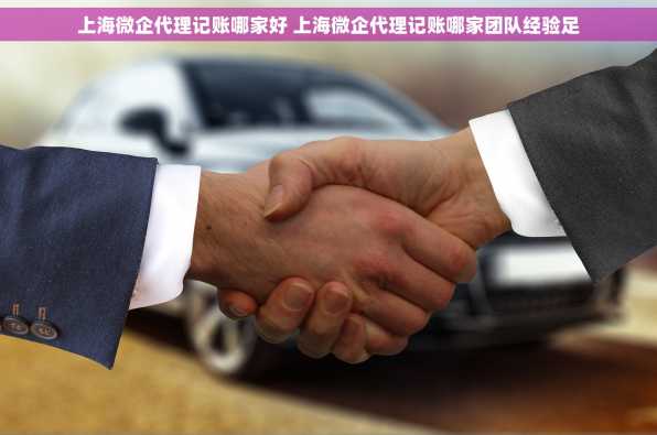 上海微企代理记账哪家好 上海微企代理记账哪家团队经验足