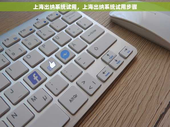 上海出纳系统试用，上海出纳系统试用步骤