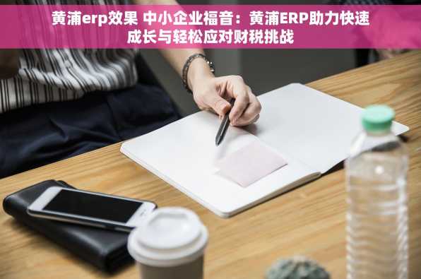黄浦erp效果 中小企业福音：黄浦ERP助力快速成长与轻松应对财税挑战