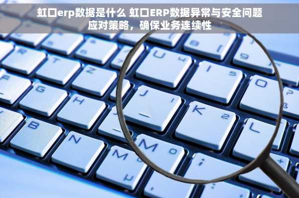 虹口erp数据是什么 虹口ERP数据异常与安全问题应对策略，确保业务连续性