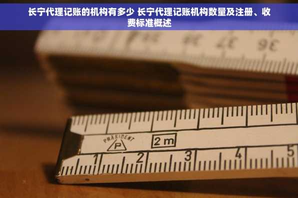 长宁代理记账的机构有多少 长宁代理记账机构数量及注册、收费标准概述