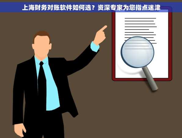 上海财务对账软件如何选？资深专家为您指点迷津