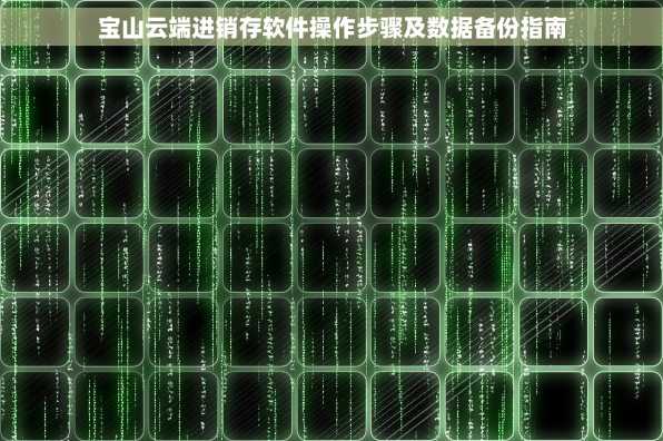宝山云端进销存软件操作步骤及数据备份指南