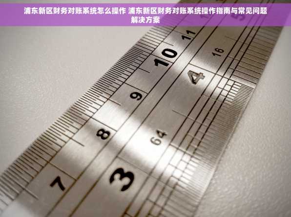 浦东新区财务对账系统怎么操作 浦东新区财务对账系统操作指南与常见问题解决方案