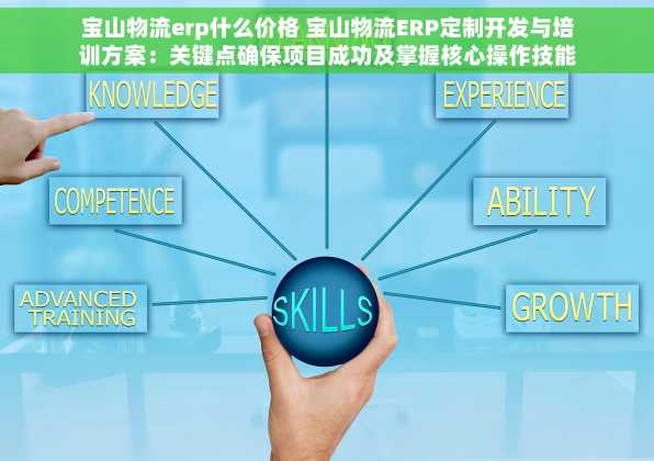 宝山物流erp什么价格 宝山物流ERP定制开发与培训方案：关键点确保项目成功及掌握核心操作技能