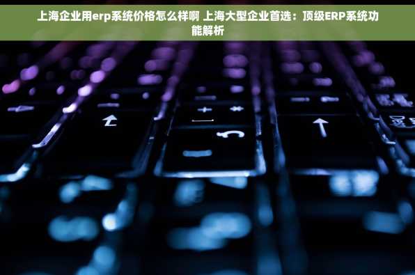 上海企业用erp系统价格怎么样啊 上海大型企业首选：顶级ERP系统功能解析