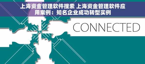 上海资金管理软件搜索 上海资金管理软件应用案例：知名企业成功转型实例