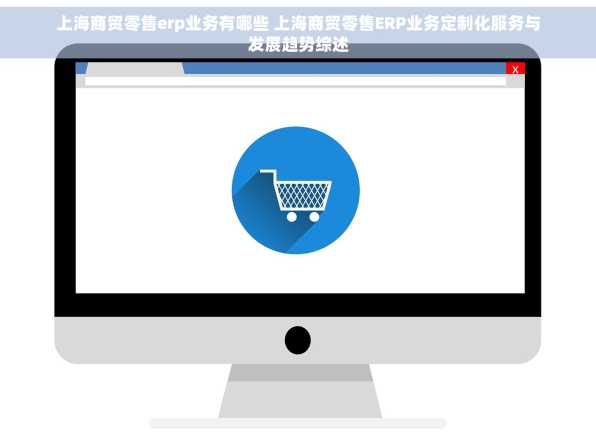 上海商贸零售erp业务有哪些 上海商贸零售ERP业务定制化服务与发展趋势综述