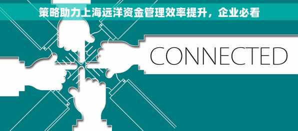 策略助力上海远洋资金管理效率提升，企业必看