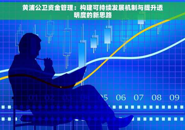 黄浦公卫资金管理：构建可持续发展机制与提升透明度的新思路