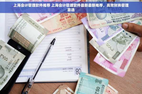 上海会计管理软件推荐 上海会计管理软件最新最新推荐，高效财务管理首选