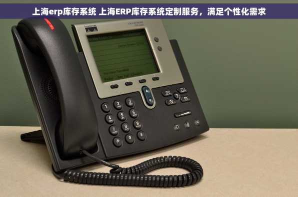 上海erp库存系统 上海ERP库存系统定制服务，满足个性化需求