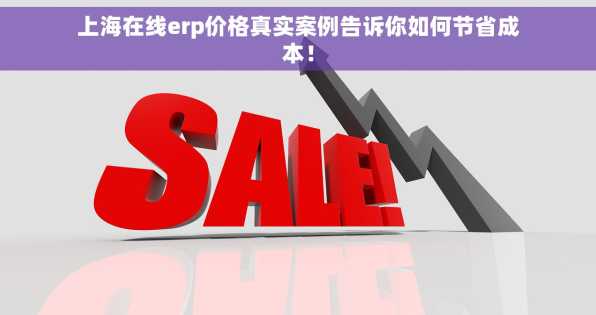 上海在线erp价格真实案例告诉你如何节省成本！
