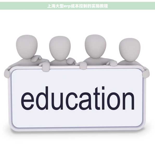 上海大型erp成本控制的实施教程