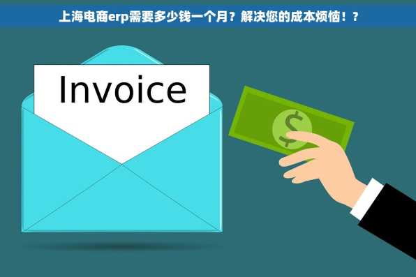 上海电商erp需要多少钱一个月？解决您的成本烦恼！?