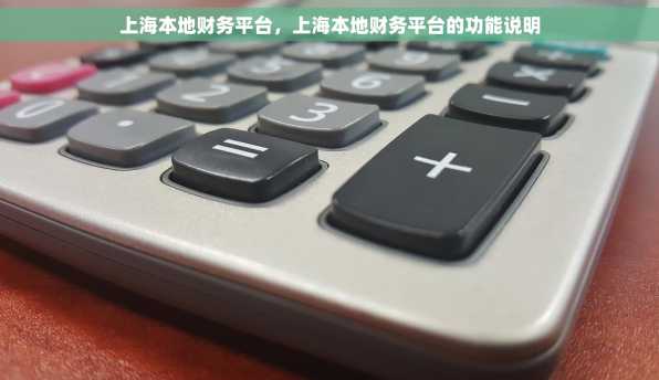 上海本地财务平台，上海本地财务平台的功能说明
