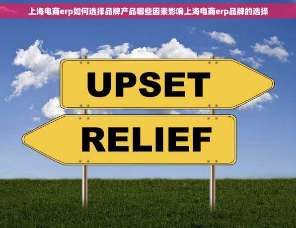 上海电商erp如何选择品牌产品哪些因素影响上海电商erp品牌的选择