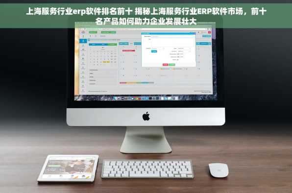 上海服务行业erp软件排名前十 揭秘上海服务行业ERP软件市场，前十名产品如何助力企业发展壮大