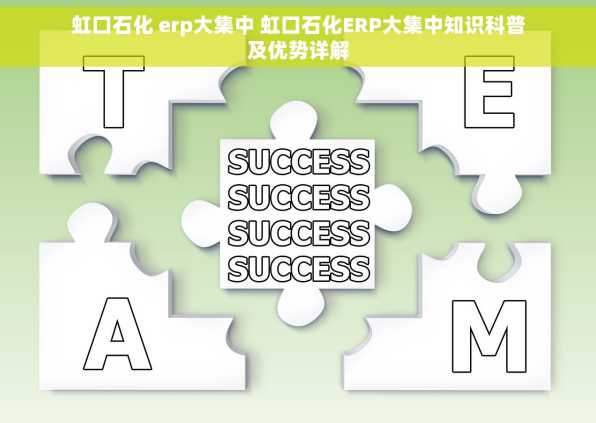 虹口石化 erp大集中 虹口石化ERP大集中知识科普及优势详解