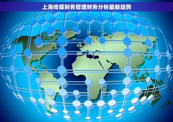 上海传媒财务管理财务分析最新趋势