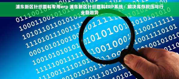 浦东新区针织面料专用erp 浦东新区针织面料ERP系统：解决库存积压与行业新趋势