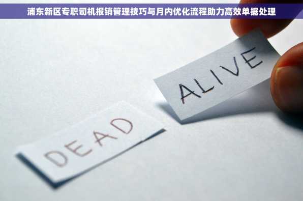 浦东新区专职司机报销管理技巧与月内优化流程助力高效单据处理