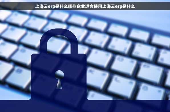 上海云erp是什么哪些企业适合使用上海云erp是什么