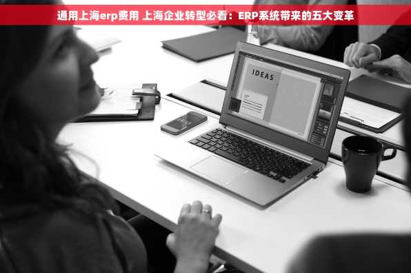 通用上海erp费用 上海企业转型必看：ERP系统带来的五大变革