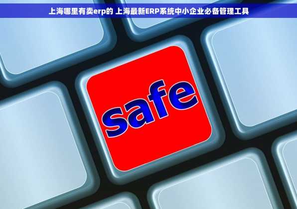 上海哪里有卖erp的 上海最新ERP系统中小企业必备管理工具