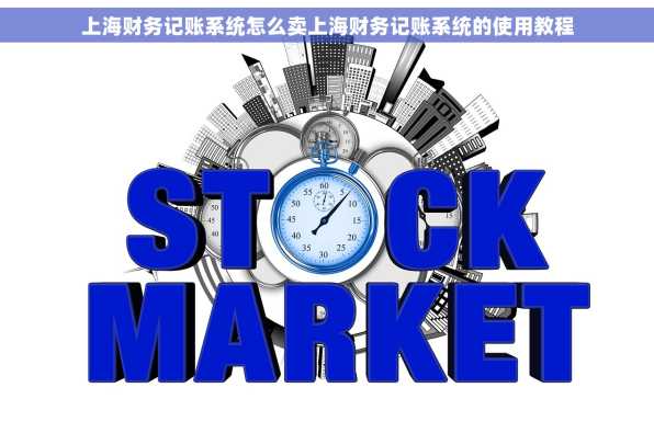 上海财务记账系统怎么卖上海财务记账系统的使用教程