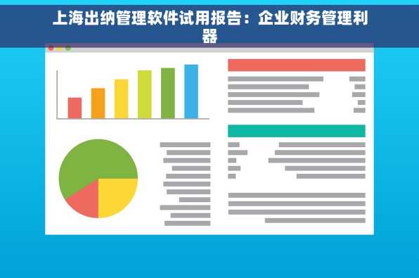 上海出纳管理软件试用报告：企业财务管理利器