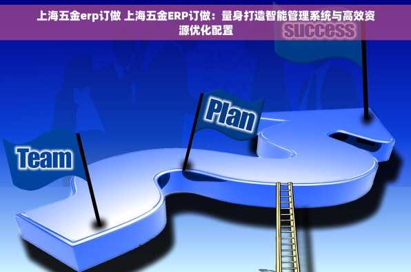 上海五金erp订做 上海五金ERP订做：量身打造智能管理系统与高效资源优化配置