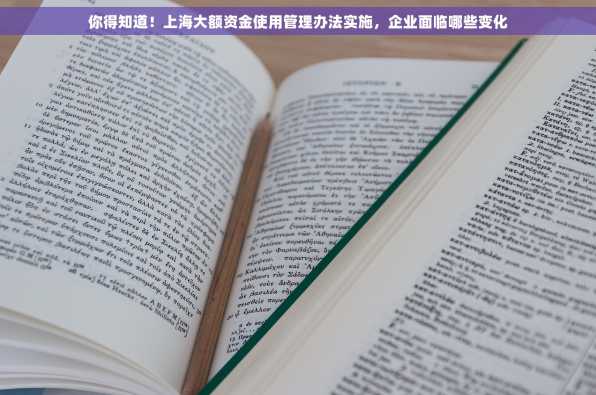 你得知道！上海大额资金使用管理办法实施，企业面临哪些变化