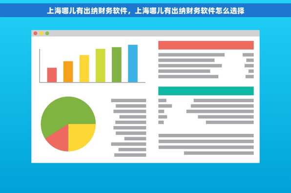 上海哪儿有出纳财务软件，上海哪儿有出纳财务软件怎么选择
