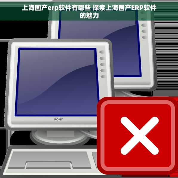上海国产erp软件有哪些 探索上海国产ERP软件的魅力