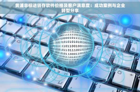 黄浦非标进销存软件价格及客户满意度：成功案例与企业转型分享