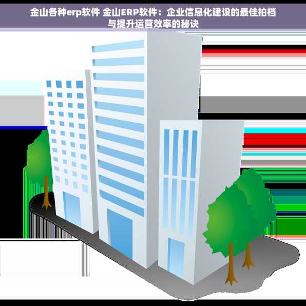 金山各种erp软件 金山ERP软件：企业信息化建设的最佳拍档与提升运营效率的秘诀