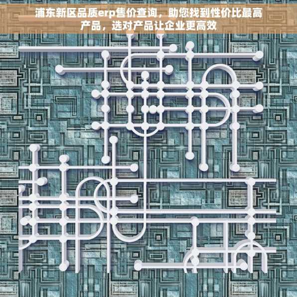 浦东新区品质erp售价查询，助您找到性价比最高产品，选对产品让企业更高效