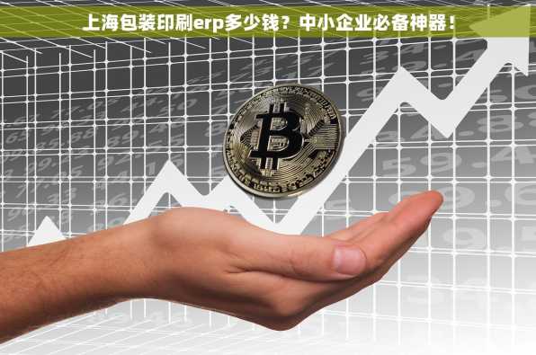 上海包装印刷erp多少钱？中小企业必备神器！