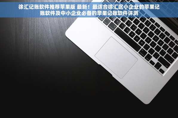 徐汇记账软件推荐苹果版 最新！最适合徐汇区小企业的苹果记账软件及中小企业必备的苹果记账软件评测
