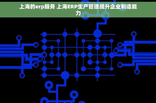 上海的erp服务 上海ERP生产管理提升企业制造能力