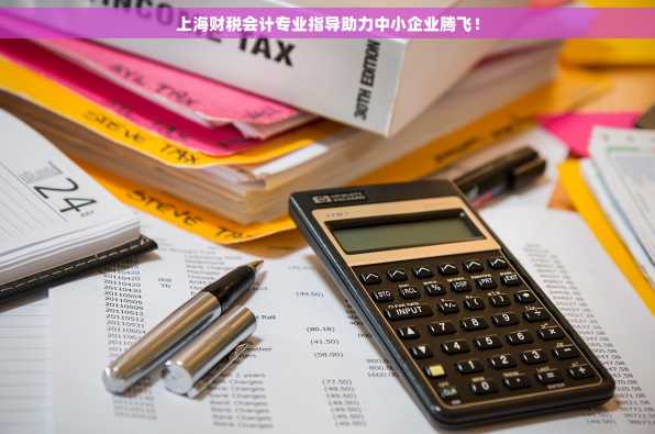 上海财税会计专业指导助力中小企业腾飞！