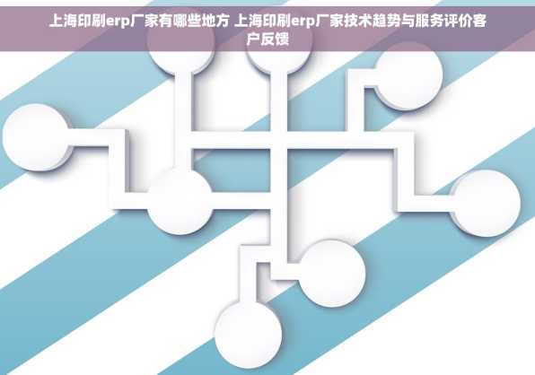 上海印刷erp厂家有哪些地方 上海印刷erp厂家技术趋势与服务评价客户反馈