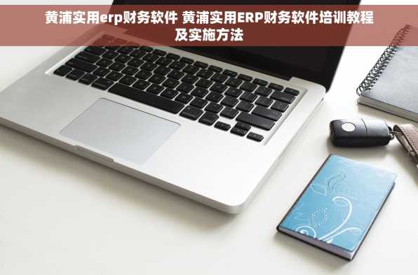 黄浦实用erp财务软件 黄浦实用ERP财务软件培训教程及实施方法