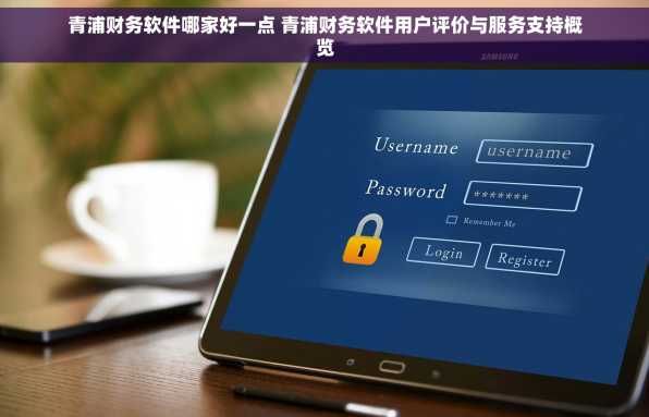 青浦财务软件哪家好一点 青浦财务软件用户评价与服务支持概览