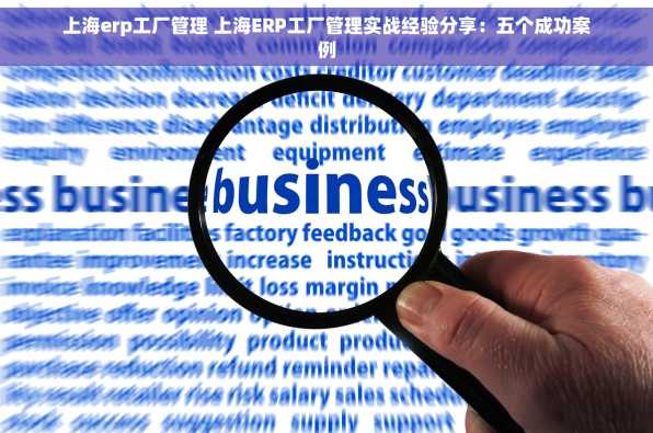 上海erp工厂管理 上海ERP工厂管理实战经验分享：五个成功案例